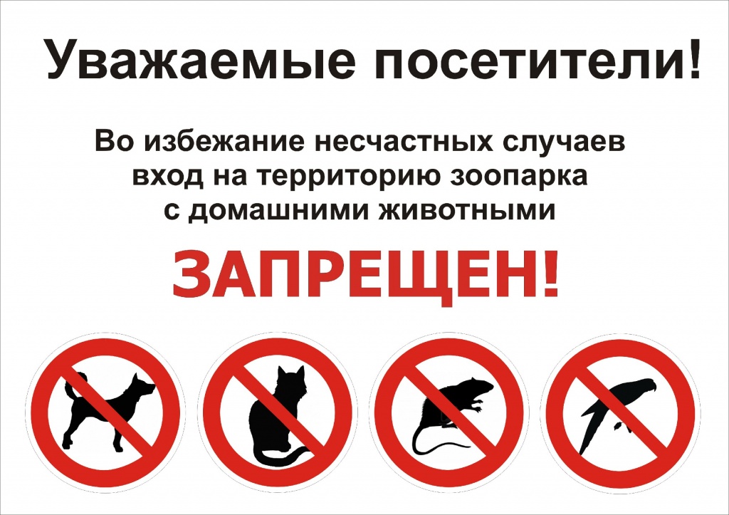 Фабрика форматовтабличка домашние животнеы.jpg Фабрика форматовтабличка домашние животнеы.jpg